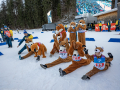 2025-Biathlon-by-TAJ-5460